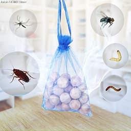 Camphor Wood Blocks 3